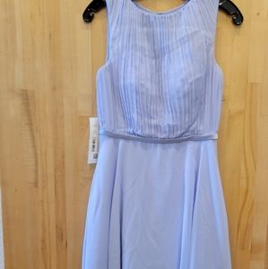 Lavender Formal/Bridesmaid Dress